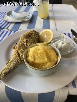 [P06] Păstrăv in crustă cu mămăligută şi mujdei » foto by Michi
 - 
<span class="allrVoted glyphicon glyphicon-heart hidden" id="av1523974"></span>
<a class="m-l-10 hidden" id="sv1523974" onclick="voting_Foto_DelVot(,1523974,5688)" role="button">șterge vot <span class="glyphicon glyphicon-remove"></span></a>
<a id="v91523974" class=" c-red"  onclick="voting_Foto_SetVot(1523974)" role="button"><span class="glyphicon glyphicon-heart-empty"></span> <b>LIKE</b> = Votează poza</a> <img class="hidden"  id="f1523974W9" src="/imagini/loader.gif" border="0" /><span class="AjErrMes hidden" id="e1523974ErM"></span>