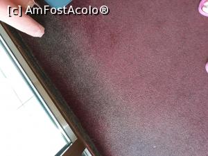 [P02] MOCHETA DE LA 4 STELE » foto by adadreem
 - 
<span class="allrVoted glyphicon glyphicon-heart hidden" id="av995945"></span>
<a class="m-l-10 hidden" id="sv995945" onclick="voting_Foto_DelVot(,995945,5706)" role="button">șterge vot <span class="glyphicon glyphicon-remove"></span></a>
<a id="v9995945" class=" c-red"  onclick="voting_Foto_SetVot(995945)" role="button"><span class="glyphicon glyphicon-heart-empty"></span> <b>LIKE</b> = Votează poza</a> <img class="hidden"  id="f995945W9" src="/imagini/loader.gif" border="0" /><span class="AjErrMes hidden" id="e995945ErM"></span>