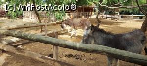 [P53] 53. În acest loc e bine să puneți o batistă la nas! » foto by doinafil
 - 
<span class="allrVoted glyphicon glyphicon-heart hidden" id="av1360495"></span>
<a class="m-l-10 hidden" id="sv1360495" onclick="voting_Foto_DelVot(,1360495,5709)" role="button">șterge vot <span class="glyphicon glyphicon-remove"></span></a>
<a id="v91360495" class=" c-red"  onclick="voting_Foto_SetVot(1360495)" role="button"><span class="glyphicon glyphicon-heart-empty"></span> <b>LIKE</b> = Votează poza</a> <img class="hidden"  id="f1360495W9" src="/imagini/loader.gif" border="0" /><span class="AjErrMes hidden" id="e1360495ErM"></span>