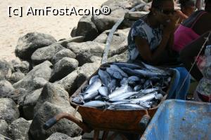 [P06] Printre pescari!  » foto by ruxandra_12
 - 
<span class="allrVoted glyphicon glyphicon-heart hidden" id="av791631"></span>
<a class="m-l-10 hidden" id="sv791631" onclick="voting_Foto_DelVot(,791631,5709)" role="button">șterge vot <span class="glyphicon glyphicon-remove"></span></a>
<a id="v9791631" class=" c-red"  onclick="voting_Foto_SetVot(791631)" role="button"><span class="glyphicon glyphicon-heart-empty"></span> <b>LIKE</b> = Votează poza</a> <img class="hidden"  id="f791631W9" src="/imagini/loader.gif" border="0" /><span class="AjErrMes hidden" id="e791631ErM"></span>