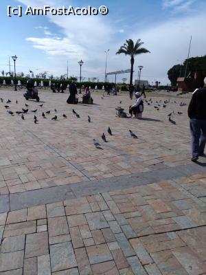 [P10] Piata Konak, mii de porumbei si vanzatorii de boabe pentru pasari.  » foto by senateo
 - 
<span class="allrVoted glyphicon glyphicon-heart hidden" id="av1158913"></span>
<a class="m-l-10 hidden" id="sv1158913" onclick="voting_Foto_DelVot(,1158913,5718)" role="button">șterge vot <span class="glyphicon glyphicon-remove"></span></a>
<a id="v91158913" class=" c-red"  onclick="voting_Foto_SetVot(1158913)" role="button"><span class="glyphicon glyphicon-heart-empty"></span> <b>LIKE</b> = Votează poza</a> <img class="hidden"  id="f1158913W9" src="/imagini/loader.gif" border="0" /><span class="AjErrMes hidden" id="e1158913ErM"></span>