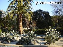 [P12] Aloe Vera este la loc de cinste in parcurile din Izmir » foto by pepsi70ro
 - 
<span class="allrVoted glyphicon glyphicon-heart hidden" id="av72930"></span>
<a class="m-l-10 hidden" id="sv72930" onclick="voting_Foto_DelVot(,72930,5718)" role="button">șterge vot <span class="glyphicon glyphicon-remove"></span></a>
<a id="v972930" class=" c-red"  onclick="voting_Foto_SetVot(72930)" role="button"><span class="glyphicon glyphicon-heart-empty"></span> <b>LIKE</b> = Votează poza</a> <img class="hidden"  id="f72930W9" src="/imagini/loader.gif" border="0" /><span class="AjErrMes hidden" id="e72930ErM"></span>