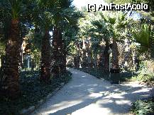 [P24] O alee dintr-un parc din centrul comercial » foto by pepsi70ro
 - 
<span class="allrVoted glyphicon glyphicon-heart hidden" id="av72947"></span>
<a class="m-l-10 hidden" id="sv72947" onclick="voting_Foto_DelVot(,72947,5718)" role="button">șterge vot <span class="glyphicon glyphicon-remove"></span></a>
<a id="v972947" class=" c-red"  onclick="voting_Foto_SetVot(72947)" role="button"><span class="glyphicon glyphicon-heart-empty"></span> <b>LIKE</b> = Votează poza</a> <img class="hidden"  id="f72947W9" src="/imagini/loader.gif" border="0" /><span class="AjErrMes hidden" id="e72947ErM"></span>