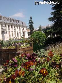 [P21] parculetul din fata Primariei Targoviste » foto by ms65
 - 
<span class="allrVoted glyphicon glyphicon-heart hidden" id="av73236"></span>
<a class="m-l-10 hidden" id="sv73236" onclick="voting_Foto_DelVot(,73236,5726)" role="button">șterge vot <span class="glyphicon glyphicon-remove"></span></a>
<a id="v973236" class=" c-red"  onclick="voting_Foto_SetVot(73236)" role="button"><span class="glyphicon glyphicon-heart-empty"></span> <b>LIKE</b> = Votează poza</a> <img class="hidden"  id="f73236W9" src="/imagini/loader.gif" border="0" /><span class="AjErrMes hidden" id="e73236ErM"></span>