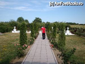 [P43] Mănăstirea Hadâmbu: pe aleea spre cimitir » foto by mariana.olaru
 - 
<span class="allrVoted glyphicon glyphicon-heart hidden" id="av409570"></span>
<a class="m-l-10 hidden" id="sv409570" onclick="voting_Foto_DelVot(,409570,5727)" role="button">șterge vot <span class="glyphicon glyphicon-remove"></span></a>
<a id="v9409570" class=" c-red"  onclick="voting_Foto_SetVot(409570)" role="button"><span class="glyphicon glyphicon-heart-empty"></span> <b>LIKE</b> = Votează poza</a> <img class="hidden"  id="f409570W9" src="/imagini/loader.gif" border="0" /><span class="AjErrMes hidden" id="e409570ErM"></span>
