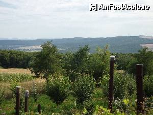[P45] Mănăstirea Hadâmbu: panoramă de dincolo de gardul cimitirului » foto by mariana.olaru
 - 
<span class="allrVoted glyphicon glyphicon-heart hidden" id="av409572"></span>
<a class="m-l-10 hidden" id="sv409572" onclick="voting_Foto_DelVot(,409572,5727)" role="button">șterge vot <span class="glyphicon glyphicon-remove"></span></a>
<a id="v9409572" class=" c-red"  onclick="voting_Foto_SetVot(409572)" role="button"><span class="glyphicon glyphicon-heart-empty"></span> <b>LIKE</b> = Votează poza</a> <img class="hidden"  id="f409572W9" src="/imagini/loader.gif" border="0" /><span class="AjErrMes hidden" id="e409572ErM"></span>