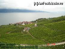 [P02] Viticultura si lacul Leman » foto by rodica1016
 - 
<span class="allrVoted glyphicon glyphicon-heart hidden" id="av409895"></span>
<a class="m-l-10 hidden" id="sv409895" onclick="voting_Foto_DelVot(,409895,5754)" role="button">șterge vot <span class="glyphicon glyphicon-remove"></span></a>
<a id="v9409895" class=" c-red"  onclick="voting_Foto_SetVot(409895)" role="button"><span class="glyphicon glyphicon-heart-empty"></span> <b>LIKE</b> = Votează poza</a> <img class="hidden"  id="f409895W9" src="/imagini/loader.gif" border="0" /><span class="AjErrMes hidden" id="e409895ErM"></span>