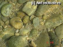 [P05] pestii din apa » foto by oanaralu13
 - 
<span class="allrVoted glyphicon glyphicon-heart hidden" id="av104472"></span>
<a class="m-l-10 hidden" id="sv104472" onclick="voting_Foto_DelVot(,104472,5756)" role="button">șterge vot <span class="glyphicon glyphicon-remove"></span></a>
<a id="v9104472" class=" c-red"  onclick="voting_Foto_SetVot(104472)" role="button"><span class="glyphicon glyphicon-heart-empty"></span> <b>LIKE</b> = Votează poza</a> <img class="hidden"  id="f104472W9" src="/imagini/loader.gif" border="0" /><span class="AjErrMes hidden" id="e104472ErM"></span>