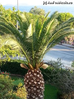 [P32]  -- <small>// FĂRĂ DESCRIERE</small> » foto by geosler
 - 
<span class="allrVoted glyphicon glyphicon-heart hidden" id="av499324"></span>
<a class="m-l-10 hidden" id="sv499324" onclick="voting_Foto_DelVot(,499324,5756)" role="button">șterge vot <span class="glyphicon glyphicon-remove"></span></a>
<a id="v9499324" class=" c-red"  onclick="voting_Foto_SetVot(499324)" role="button"><span class="glyphicon glyphicon-heart-empty"></span> <b>LIKE</b> = Votează poza</a> <img class="hidden"  id="f499324W9" src="/imagini/loader.gif" border="0" /><span class="AjErrMes hidden" id="e499324ErM"></span>