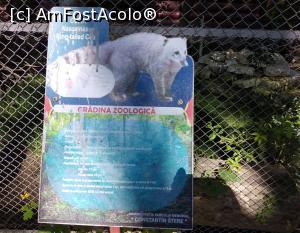 [P10] Zoo Ploiești, mai pe calm » foto by Mioritik
 - 
<span class="allrVoted glyphicon glyphicon-heart hidden" id="av1246428"></span>
<a class="m-l-10 hidden" id="sv1246428" onclick="voting_Foto_DelVot(,1246428,5760)" role="button">șterge vot <span class="glyphicon glyphicon-remove"></span></a>
<a id="v91246428" class=" c-red"  onclick="voting_Foto_SetVot(1246428)" role="button"><span class="glyphicon glyphicon-heart-empty"></span> <b>LIKE</b> = Votează poza</a> <img class="hidden"  id="f1246428W9" src="/imagini/loader.gif" border="0" /><span class="AjErrMes hidden" id="e1246428ErM"></span>