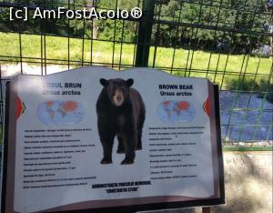 [P11] Zoo Ploiești, mai pe calm » foto by Mioritik
 - 
<span class="allrVoted glyphicon glyphicon-heart hidden" id="av1246429"></span>
<a class="m-l-10 hidden" id="sv1246429" onclick="voting_Foto_DelVot(,1246429,5760)" role="button">șterge vot <span class="glyphicon glyphicon-remove"></span></a>
<a id="v91246429" class=" c-red"  onclick="voting_Foto_SetVot(1246429)" role="button"><span class="glyphicon glyphicon-heart-empty"></span> <b>LIKE</b> = Votează poza</a> <img class="hidden"  id="f1246429W9" src="/imagini/loader.gif" border="0" /><span class="AjErrMes hidden" id="e1246429ErM"></span>