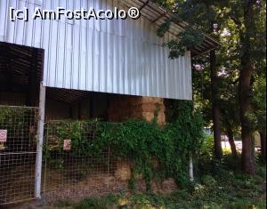 [P14] Zoo Ploiești, mai pe calm » foto by Mioritik
 - 
<span class="allrVoted glyphicon glyphicon-heart hidden" id="av1246432"></span>
<a class="m-l-10 hidden" id="sv1246432" onclick="voting_Foto_DelVot(,1246432,5760)" role="button">șterge vot <span class="glyphicon glyphicon-remove"></span></a>
<a id="v91246432" class=" c-red"  onclick="voting_Foto_SetVot(1246432)" role="button"><span class="glyphicon glyphicon-heart-empty"></span> <b>LIKE</b> = Votează poza</a> <img class="hidden"  id="f1246432W9" src="/imagini/loader.gif" border="0" /><span class="AjErrMes hidden" id="e1246432ErM"></span>