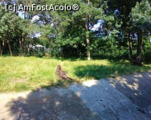 [P06] Zoo Ploiești, mai pe calm » foto by Mioritik
 - 
<span class="allrVoted glyphicon glyphicon-heart hidden" id="av1246424"></span>
<a class="m-l-10 hidden" id="sv1246424" onclick="voting_Foto_DelVot(,1246424,5760)" role="button">șterge vot <span class="glyphicon glyphicon-remove"></span></a>
<a id="v91246424" class=" c-red"  onclick="voting_Foto_SetVot(1246424)" role="button"><span class="glyphicon glyphicon-heart-empty"></span> <b>LIKE</b> = Votează poza</a> <img class="hidden"  id="f1246424W9" src="/imagini/loader.gif" border="0" /><span class="AjErrMes hidden" id="e1246424ErM"></span>