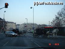 [P04]  -- <small>// FĂRĂ DESCRIERE</small> » foto by raoulp55
 - 
<span class="allrVoted glyphicon glyphicon-heart hidden" id="av161898"></span>
<a class="m-l-10 hidden" id="sv161898" onclick="voting_Foto_DelVot(,161898,5760)" role="button">șterge vot <span class="glyphicon glyphicon-remove"></span></a>
<a id="v9161898" class=" c-red"  onclick="voting_Foto_SetVot(161898)" role="button"><span class="glyphicon glyphicon-heart-empty"></span> <b>LIKE</b> = Votează poza</a> <img class="hidden"  id="f161898W9" src="/imagini/loader.gif" border="0" /><span class="AjErrMes hidden" id="e161898ErM"></span>