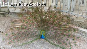 [P35] La Palatul Dolmabahce (off topic)  » foto by ireedeejay
 - 
<span class="allrVoted glyphicon glyphicon-heart hidden" id="av1056097"></span>
<a class="m-l-10 hidden" id="sv1056097" onclick="voting_Foto_DelVot(,1056097,5760)" role="button">șterge vot <span class="glyphicon glyphicon-remove"></span></a>
<a id="v91056097" class=" c-red"  onclick="voting_Foto_SetVot(1056097)" role="button"><span class="glyphicon glyphicon-heart-empty"></span> <b>LIKE</b> = Votează poza</a> <img class="hidden"  id="f1056097W9" src="/imagini/loader.gif" border="0" /><span class="AjErrMes hidden" id="e1056097ErM"></span>