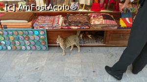 [P40] La Arasta Bazaar » foto by ireedeejay
 - 
<span class="allrVoted glyphicon glyphicon-heart hidden" id="av1056105"></span>
<a class="m-l-10 hidden" id="sv1056105" onclick="voting_Foto_DelVot(,1056105,5760)" role="button">șterge vot <span class="glyphicon glyphicon-remove"></span></a>
<a id="v91056105" class=" c-red"  onclick="voting_Foto_SetVot(1056105)" role="button"><span class="glyphicon glyphicon-heart-empty"></span> <b>LIKE</b> = Votează poza</a> <img class="hidden"  id="f1056105W9" src="/imagini/loader.gif" border="0" /><span class="AjErrMes hidden" id="e1056105ErM"></span>