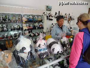 [P30] Atât vă costă un ursuleţ Panda!  » foto by Marian Preda
 - 
<span class="allrVoted glyphicon glyphicon-heart hidden" id="av605206"></span>
<a class="m-l-10 hidden" id="sv605206" onclick="voting_Foto_DelVot(,605206,5760)" role="button">șterge vot <span class="glyphicon glyphicon-remove"></span></a>
<a id="v9605206" class=" c-red"  onclick="voting_Foto_SetVot(605206)" role="button"><span class="glyphicon glyphicon-heart-empty"></span> <b>LIKE</b> = Votează poza</a> <img class="hidden"  id="f605206W9" src="/imagini/loader.gif" border="0" /><span class="AjErrMes hidden" id="e605206ErM"></span>