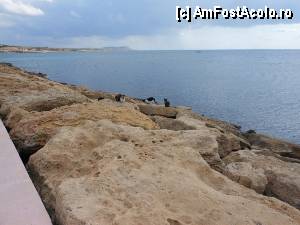 [P24] Ayia Napa - Familie de pisici pe dig.  » foto by iulianic
 - 
<span class="allrVoted glyphicon glyphicon-heart hidden" id="av385134"></span>
<a class="m-l-10 hidden" id="sv385134" onclick="voting_Foto_DelVot(,385134,5760)" role="button">șterge vot <span class="glyphicon glyphicon-remove"></span></a>
<a id="v9385134" class=" c-red"  onclick="voting_Foto_SetVot(385134)" role="button"><span class="glyphicon glyphicon-heart-empty"></span> <b>LIKE</b> = Votează poza</a> <img class="hidden"  id="f385134W9" src="/imagini/loader.gif" border="0" /><span class="AjErrMes hidden" id="e385134ErM"></span>