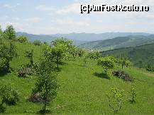 [P52] Aista-i Țara Maramu' » foto by bog68
 - 
<span class="allrVoted glyphicon glyphicon-heart hidden" id="av323306"></span>
<a class="m-l-10 hidden" id="sv323306" onclick="voting_Foto_DelVot(,323306,5760)" role="button">șterge vot <span class="glyphicon glyphicon-remove"></span></a>
<a id="v9323306" class=" c-red"  onclick="voting_Foto_SetVot(323306)" role="button"><span class="glyphicon glyphicon-heart-empty"></span> <b>LIKE</b> = Votează poza</a> <img class="hidden"  id="f323306W9" src="/imagini/loader.gif" border="0" /><span class="AjErrMes hidden" id="e323306ErM"></span>