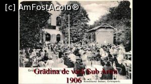 [P10] Grădina de vară Sub Arini » foto by AZE <span class="label label-default labelC_thin small">NEVOTABILĂ</span>