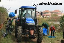 [P04] primul transport » foto by recul*
 - 
<span class="allrVoted glyphicon glyphicon-heart hidden" id="av140310"></span>
<a class="m-l-10 hidden" id="sv140310" onclick="voting_Foto_DelVot(,140310,5760)" role="button">șterge vot <span class="glyphicon glyphicon-remove"></span></a>
<a id="v9140310" class=" c-red"  onclick="voting_Foto_SetVot(140310)" role="button"><span class="glyphicon glyphicon-heart-empty"></span> <b>LIKE</b> = Votează poza</a> <img class="hidden"  id="f140310W9" src="/imagini/loader.gif" border="0" /><span class="AjErrMes hidden" id="e140310ErM"></span>