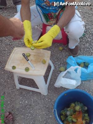 [P01] Tunisia - experienta culinara cu fructele de cactus » foto by Diaura*
 - 
<span class="allrVoted glyphicon glyphicon-heart hidden" id="av463983"></span>
<a class="m-l-10 hidden" id="sv463983" onclick="voting_Foto_DelVot(,463983,5760)" role="button">șterge vot <span class="glyphicon glyphicon-remove"></span></a>
<a id="v9463983" class=" c-red"  onclick="voting_Foto_SetVot(463983)" role="button"><span class="glyphicon glyphicon-heart-empty"></span> <b>LIKE</b> = Votează poza</a> <img class="hidden"  id="f463983W9" src="/imagini/loader.gif" border="0" /><span class="AjErrMes hidden" id="e463983ErM"></span>