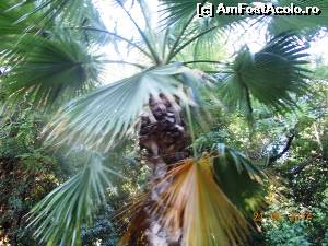 [P18] Prin Atena.  » foto by melena
 - 
<span class="allrVoted glyphicon glyphicon-heart hidden" id="av619292"></span>
<a class="m-l-10 hidden" id="sv619292" onclick="voting_Foto_DelVot(,619292,5760)" role="button">șterge vot <span class="glyphicon glyphicon-remove"></span></a>
<a id="v9619292" class=" c-red"  onclick="voting_Foto_SetVot(619292)" role="button"><span class="glyphicon glyphicon-heart-empty"></span> <b>LIKE</b> = Votează poza</a> <img class="hidden"  id="f619292W9" src="/imagini/loader.gif" border="0" /><span class="AjErrMes hidden" id="e619292ErM"></span>