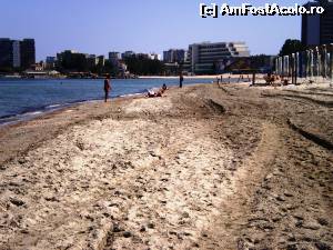 [P09] Plaja Mamaia 19 mai 2015.  » foto by melena
 - 
<span class="allrVoted glyphicon glyphicon-heart hidden" id="av619283"></span>
<a class="m-l-10 hidden" id="sv619283" onclick="voting_Foto_DelVot(,619283,5760)" role="button">șterge vot <span class="glyphicon glyphicon-remove"></span></a>
<a id="v9619283" class=" c-red"  onclick="voting_Foto_SetVot(619283)" role="button"><span class="glyphicon glyphicon-heart-empty"></span> <b>LIKE</b> = Votează poza</a> <img class="hidden"  id="f619283W9" src="/imagini/loader.gif" border="0" /><span class="AjErrMes hidden" id="e619283ErM"></span>