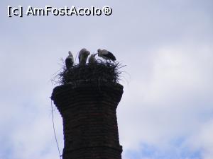 [P06] Si noi suntem romani! <p> In parcul din Vatra Dornei.  » foto by liviu49
 - 
<span class="allrVoted glyphicon glyphicon-heart hidden" id="av1037033"></span>
<a class="m-l-10 hidden" id="sv1037033" onclick="voting_Foto_DelVot(,1037033,5760)" role="button">șterge vot <span class="glyphicon glyphicon-remove"></span></a>
<a id="v91037033" class=" c-red"  onclick="voting_Foto_SetVot(1037033)" role="button"><span class="glyphicon glyphicon-heart-empty"></span> <b>LIKE</b> = Votează poza</a> <img class="hidden"  id="f1037033W9" src="/imagini/loader.gif" border="0" /><span class="AjErrMes hidden" id="e1037033ErM"></span>