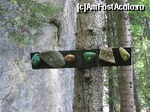 [P15] La Cascada Tamina - Atentie, cataratori! » foto by vini
 - 
<span class="allrVoted glyphicon glyphicon-heart hidden" id="av147471"></span>
<a class="m-l-10 hidden" id="sv147471" onclick="voting_Foto_DelVot(,147471,5760)" role="button">șterge vot <span class="glyphicon glyphicon-remove"></span></a>
<a id="v9147471" class=" c-red"  onclick="voting_Foto_SetVot(147471)" role="button"><span class="glyphicon glyphicon-heart-empty"></span> <b>LIKE</b> = Votează poza</a> <img class="hidden"  id="f147471W9" src="/imagini/loader.gif" border="0" /><span class="AjErrMes hidden" id="e147471ErM"></span>