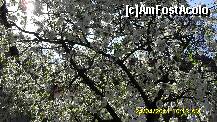 [P01] flori din inima pentru inima » foto by adryana
 - 
<span class="allrVoted glyphicon glyphicon-heart hidden" id="av197766"></span>
<a class="m-l-10 hidden" id="sv197766" onclick="voting_Foto_DelVot(,197766,5760)" role="button">șterge vot <span class="glyphicon glyphicon-remove"></span></a>
<a id="v9197766" class=" c-red"  onclick="voting_Foto_SetVot(197766)" role="button"><span class="glyphicon glyphicon-heart-empty"></span> <b>LIKE</b> = Votează poza</a> <img class="hidden"  id="f197766W9" src="/imagini/loader.gif" border="0" /><span class="AjErrMes hidden" id="e197766ErM"></span>