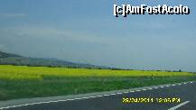[P14] lanuri de rapita, in drumul nostru spre Cugir » foto by adryana
 - 
<span class="allrVoted glyphicon glyphicon-heart hidden" id="av197781"></span>
<a class="m-l-10 hidden" id="sv197781" onclick="voting_Foto_DelVot(,197781,5760)" role="button">șterge vot <span class="glyphicon glyphicon-remove"></span></a>
<a id="v9197781" class=" c-red"  onclick="voting_Foto_SetVot(197781)" role="button"><span class="glyphicon glyphicon-heart-empty"></span> <b>LIKE</b> = Votează poza</a> <img class="hidden"  id="f197781W9" src="/imagini/loader.gif" border="0" /><span class="AjErrMes hidden" id="e197781ErM"></span>