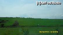 [P17]  -- <small>// FĂRĂ DESCRIERE</small> » foto by adryana
 - 
<span class="allrVoted glyphicon glyphicon-heart hidden" id="av197784"></span>
<a class="m-l-10 hidden" id="sv197784" onclick="voting_Foto_DelVot(,197784,5760)" role="button">șterge vot <span class="glyphicon glyphicon-remove"></span></a>
<a id="v9197784" class=" c-red"  onclick="voting_Foto_SetVot(197784)" role="button"><span class="glyphicon glyphicon-heart-empty"></span> <b>LIKE</b> = Votează poza</a> <img class="hidden"  id="f197784W9" src="/imagini/loader.gif" border="0" /><span class="AjErrMes hidden" id="e197784ErM"></span>