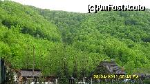 [P23] langa Cugir, la padure » foto by adryana
 - 
<span class="allrVoted glyphicon glyphicon-heart hidden" id="av197790"></span>
<a class="m-l-10 hidden" id="sv197790" onclick="voting_Foto_DelVot(,197790,5760)" role="button">șterge vot <span class="glyphicon glyphicon-remove"></span></a>
<a id="v9197790" class=" c-red"  onclick="voting_Foto_SetVot(197790)" role="button"><span class="glyphicon glyphicon-heart-empty"></span> <b>LIKE</b> = Votează poza</a> <img class="hidden"  id="f197790W9" src="/imagini/loader.gif" border="0" /><span class="AjErrMes hidden" id="e197790ErM"></span>