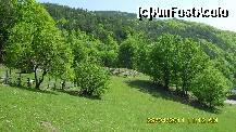 [P39]  -- <small>// FĂRĂ DESCRIERE</small> » foto by adryana
 - 
<span class="allrVoted glyphicon glyphicon-heart hidden" id="av197806"></span>
<a class="m-l-10 hidden" id="sv197806" onclick="voting_Foto_DelVot(,197806,5760)" role="button">șterge vot <span class="glyphicon glyphicon-remove"></span></a>
<a id="v9197806" class=" c-red"  onclick="voting_Foto_SetVot(197806)" role="button"><span class="glyphicon glyphicon-heart-empty"></span> <b>LIKE</b> = Votează poza</a> <img class="hidden"  id="f197806W9" src="/imagini/loader.gif" border="0" /><span class="AjErrMes hidden" id="e197806ErM"></span>