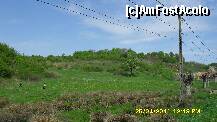 [P08] zona Sorusa (Salaj) » foto by adryana
 - 
<span class="allrVoted glyphicon glyphicon-heart hidden" id="av197775"></span>
<a class="m-l-10 hidden" id="sv197775" onclick="voting_Foto_DelVot(,197775,5760)" role="button">șterge vot <span class="glyphicon glyphicon-remove"></span></a>
<a id="v9197775" class=" c-red"  onclick="voting_Foto_SetVot(197775)" role="button"><span class="glyphicon glyphicon-heart-empty"></span> <b>LIKE</b> = Votează poza</a> <img class="hidden"  id="f197775W9" src="/imagini/loader.gif" border="0" /><span class="AjErrMes hidden" id="e197775ErM"></span>