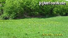 [P09]  -- <small>// FĂRĂ DESCRIERE</small> » foto by adryana
 - 
<span class="allrVoted glyphicon glyphicon-heart hidden" id="av197776"></span>
<a class="m-l-10 hidden" id="sv197776" onclick="voting_Foto_DelVot(,197776,5760)" role="button">șterge vot <span class="glyphicon glyphicon-remove"></span></a>
<a id="v9197776" class=" c-red"  onclick="voting_Foto_SetVot(197776)" role="button"><span class="glyphicon glyphicon-heart-empty"></span> <b>LIKE</b> = Votează poza</a> <img class="hidden"  id="f197776W9" src="/imagini/loader.gif" border="0" /><span class="AjErrMes hidden" id="e197776ErM"></span>
