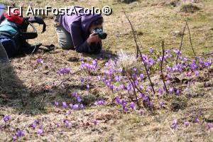 [P03] Masivul Rarau, tura foto cu studentii lui Adi,  » foto by danaeldreny*
 - 
<span class="allrVoted glyphicon glyphicon-heart hidden" id="av854952"></span>
<a class="m-l-10 hidden" id="sv854952" onclick="voting_Foto_DelVot(,854952,5760)" role="button">șterge vot <span class="glyphicon glyphicon-remove"></span></a>
<a id="v9854952" class=" c-red"  onclick="voting_Foto_SetVot(854952)" role="button"><span class="glyphicon glyphicon-heart-empty"></span> <b>LIKE</b> = Votează poza</a> <img class="hidden"  id="f854952W9" src="/imagini/loader.gif" border="0" /><span class="AjErrMes hidden" id="e854952ErM"></span>