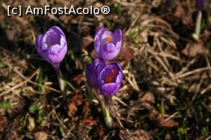 [P39] Masivul Rarau, tura foto cu studentii lui Adi,  » foto by danaeldreny*
 - 
<span class="allrVoted glyphicon glyphicon-heart hidden" id="av854988"></span>
<a class="m-l-10 hidden" id="sv854988" onclick="voting_Foto_DelVot(,854988,5760)" role="button">șterge vot <span class="glyphicon glyphicon-remove"></span></a>
<a id="v9854988" class=" c-red"  onclick="voting_Foto_SetVot(854988)" role="button"><span class="glyphicon glyphicon-heart-empty"></span> <b>LIKE</b> = Votează poza</a> <img class="hidden"  id="f854988W9" src="/imagini/loader.gif" border="0" /><span class="AjErrMes hidden" id="e854988ErM"></span>