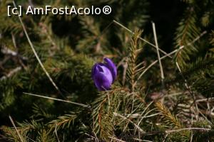 [P40] Masivul Rarau, tura foto cu studentii lui Adi,  » foto by danaeldreny*
 - 
<span class="allrVoted glyphicon glyphicon-heart hidden" id="av854989"></span>
<a class="m-l-10 hidden" id="sv854989" onclick="voting_Foto_DelVot(,854989,5760)" role="button">șterge vot <span class="glyphicon glyphicon-remove"></span></a>
<a id="v9854989" class=" c-red"  onclick="voting_Foto_SetVot(854989)" role="button"><span class="glyphicon glyphicon-heart-empty"></span> <b>LIKE</b> = Votează poza</a> <img class="hidden"  id="f854989W9" src="/imagini/loader.gif" border="0" /><span class="AjErrMes hidden" id="e854989ErM"></span>