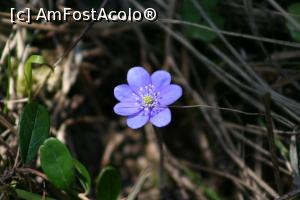 [P05] Masivul Rarau, tura foto cu studentii lui Adi,  » foto by danaeldreny*
 - 
<span class="allrVoted glyphicon glyphicon-heart hidden" id="av854954"></span>
<a class="m-l-10 hidden" id="sv854954" onclick="voting_Foto_DelVot(,854954,5760)" role="button">șterge vot <span class="glyphicon glyphicon-remove"></span></a>
<a id="v9854954" class=" c-red"  onclick="voting_Foto_SetVot(854954)" role="button"><span class="glyphicon glyphicon-heart-empty"></span> <b>LIKE</b> = Votează poza</a> <img class="hidden"  id="f854954W9" src="/imagini/loader.gif" border="0" /><span class="AjErrMes hidden" id="e854954ErM"></span>
