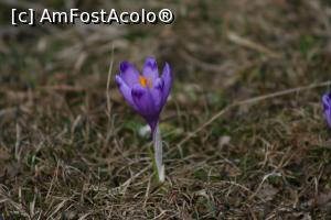 [P06] Masivul Rarau, tura foto cu studentii lui Adi,  » foto by danaeldreny*
 - 
<span class="allrVoted glyphicon glyphicon-heart hidden" id="av854955"></span>
<a class="m-l-10 hidden" id="sv854955" onclick="voting_Foto_DelVot(,854955,5760)" role="button">șterge vot <span class="glyphicon glyphicon-remove"></span></a>
<a id="v9854955" class=" c-red"  onclick="voting_Foto_SetVot(854955)" role="button"><span class="glyphicon glyphicon-heart-empty"></span> <b>LIKE</b> = Votează poza</a> <img class="hidden"  id="f854955W9" src="/imagini/loader.gif" border="0" /><span class="AjErrMes hidden" id="e854955ErM"></span>