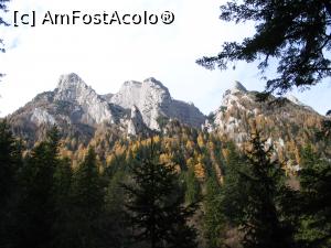 [P05] și alți vecini...  » foto by danaeldreny*
 - 
<span class="allrVoted glyphicon glyphicon-heart hidden" id="av898109"></span>
<a class="m-l-10 hidden" id="sv898109" onclick="voting_Foto_DelVot(,898109,5760)" role="button">șterge vot <span class="glyphicon glyphicon-remove"></span></a>
<a id="v9898109" class=" c-red"  onclick="voting_Foto_SetVot(898109)" role="button"><span class="glyphicon glyphicon-heart-empty"></span> <b>LIKE</b> = Votează poza</a> <img class="hidden"  id="f898109W9" src="/imagini/loader.gif" border="0" /><span class="AjErrMes hidden" id="e898109ErM"></span>