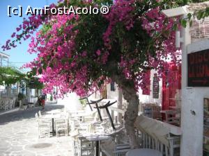 [P10] Alta taverna » foto by dorgo
 - 
<span class="allrVoted glyphicon glyphicon-heart hidden" id="av1256200"></span>
<a class="m-l-10 hidden" id="sv1256200" onclick="voting_Foto_DelVot(,1256200,5760)" role="button">șterge vot <span class="glyphicon glyphicon-remove"></span></a>
<a id="v91256200" class=" c-red"  onclick="voting_Foto_SetVot(1256200)" role="button"><span class="glyphicon glyphicon-heart-empty"></span> <b>LIKE</b> = Votează poza</a> <img class="hidden"  id="f1256200W9" src="/imagini/loader.gif" border="0" /><span class="AjErrMes hidden" id="e1256200ErM"></span>