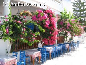 [P07] Alta taverna intens "bougenvillizata" din Chora » foto by dorgo
 - 
<span class="allrVoted glyphicon glyphicon-heart hidden" id="av1256197"></span>
<a class="m-l-10 hidden" id="sv1256197" onclick="voting_Foto_DelVot(,1256197,5760)" role="button">șterge vot <span class="glyphicon glyphicon-remove"></span></a>
<a id="v91256197" class=" c-red"  onclick="voting_Foto_SetVot(1256197)" role="button"><span class="glyphicon glyphicon-heart-empty"></span> <b>LIKE</b> = Votează poza</a> <img class="hidden"  id="f1256197W9" src="/imagini/loader.gif" border="0" /><span class="AjErrMes hidden" id="e1256197ErM"></span>
