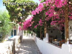 [P08] Antiparos-insula florilor » foto by dorgo
 - 
<span class="allrVoted glyphicon glyphicon-heart hidden" id="av1256198"></span>
<a class="m-l-10 hidden" id="sv1256198" onclick="voting_Foto_DelVot(,1256198,5760)" role="button">șterge vot <span class="glyphicon glyphicon-remove"></span></a>
<a id="v91256198" class=" c-red"  onclick="voting_Foto_SetVot(1256198)" role="button"><span class="glyphicon glyphicon-heart-empty"></span> <b>LIKE</b> = Votează poza</a> <img class="hidden"  id="f1256198W9" src="/imagini/loader.gif" border="0" /><span class="AjErrMes hidden" id="e1256198ErM"></span>