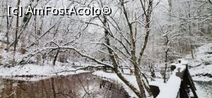 [P07] Lacul Negru si Rosu » foto by dorgo
 - 
<span class="allrVoted glyphicon glyphicon-heart hidden" id="av1272945"></span>
<a class="m-l-10 hidden" id="sv1272945" onclick="voting_Foto_DelVot(,1272945,5760)" role="button">șterge vot <span class="glyphicon glyphicon-remove"></span></a>
<a id="v91272945" class=" c-red"  onclick="voting_Foto_SetVot(1272945)" role="button"><span class="glyphicon glyphicon-heart-empty"></span> <b>LIKE</b> = Votează poza</a> <img class="hidden"  id="f1272945W9" src="/imagini/loader.gif" border="0" /><span class="AjErrMes hidden" id="e1272945ErM"></span>