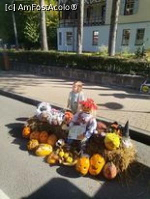 [P13] Mami, oare pot sa-l duc acasa? » foto by dorgo
 - 
<span class="allrVoted glyphicon glyphicon-heart hidden" id="av1399181"></span>
<a class="m-l-10 hidden" id="sv1399181" onclick="voting_Foto_DelVot(,1399181,5760)" role="button">șterge vot <span class="glyphicon glyphicon-remove"></span></a>
<a id="v91399181" class=" c-red"  onclick="voting_Foto_SetVot(1399181)" role="button"><span class="glyphicon glyphicon-heart-empty"></span> <b>LIKE</b> = Votează poza</a> <img class="hidden"  id="f1399181W9" src="/imagini/loader.gif" border="0" /><span class="AjErrMes hidden" id="e1399181ErM"></span>