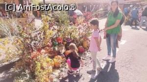 [P04] Festivalul dovleacului de la Sovata » foto by dorgo
 - 
<span class="allrVoted glyphicon glyphicon-heart hidden" id="av1399172"></span>
<a class="m-l-10 hidden" id="sv1399172" onclick="voting_Foto_DelVot(,1399172,5760)" role="button">șterge vot <span class="glyphicon glyphicon-remove"></span></a>
<a id="v91399172" class=" c-red"  onclick="voting_Foto_SetVot(1399172)" role="button"><span class="glyphicon glyphicon-heart-empty"></span> <b>LIKE</b> = Votează poza</a> <img class="hidden"  id="f1399172W9" src="/imagini/loader.gif" border="0" /><span class="AjErrMes hidden" id="e1399172ErM"></span>