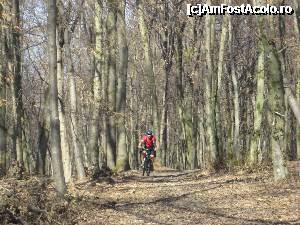 [P07] Cand eram 'baiet', paduri cutreieram... cu 'mountain bike'-ul » foto by dorgo
 - 
<span class="allrVoted glyphicon glyphicon-heart hidden" id="av342661"></span>
<a class="m-l-10 hidden" id="sv342661" onclick="voting_Foto_DelVot(,342661,5760)" role="button">șterge vot <span class="glyphicon glyphicon-remove"></span></a>
<a id="v9342661" class=" c-red"  onclick="voting_Foto_SetVot(342661)" role="button"><span class="glyphicon glyphicon-heart-empty"></span> <b>LIKE</b> = Votează poza</a> <img class="hidden"  id="f342661W9" src="/imagini/loader.gif" border="0" /><span class="AjErrMes hidden" id="e342661ErM"></span>